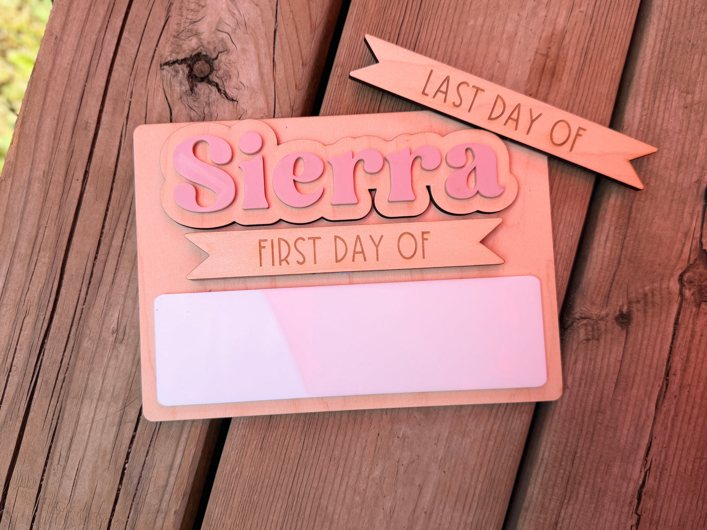 Mini First Day of School/Last Day of School/Classic Design