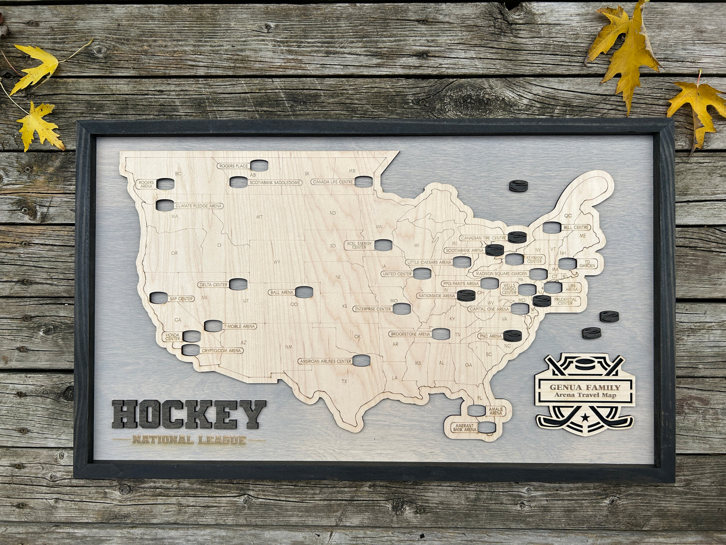 NHL Hockey Arena Map