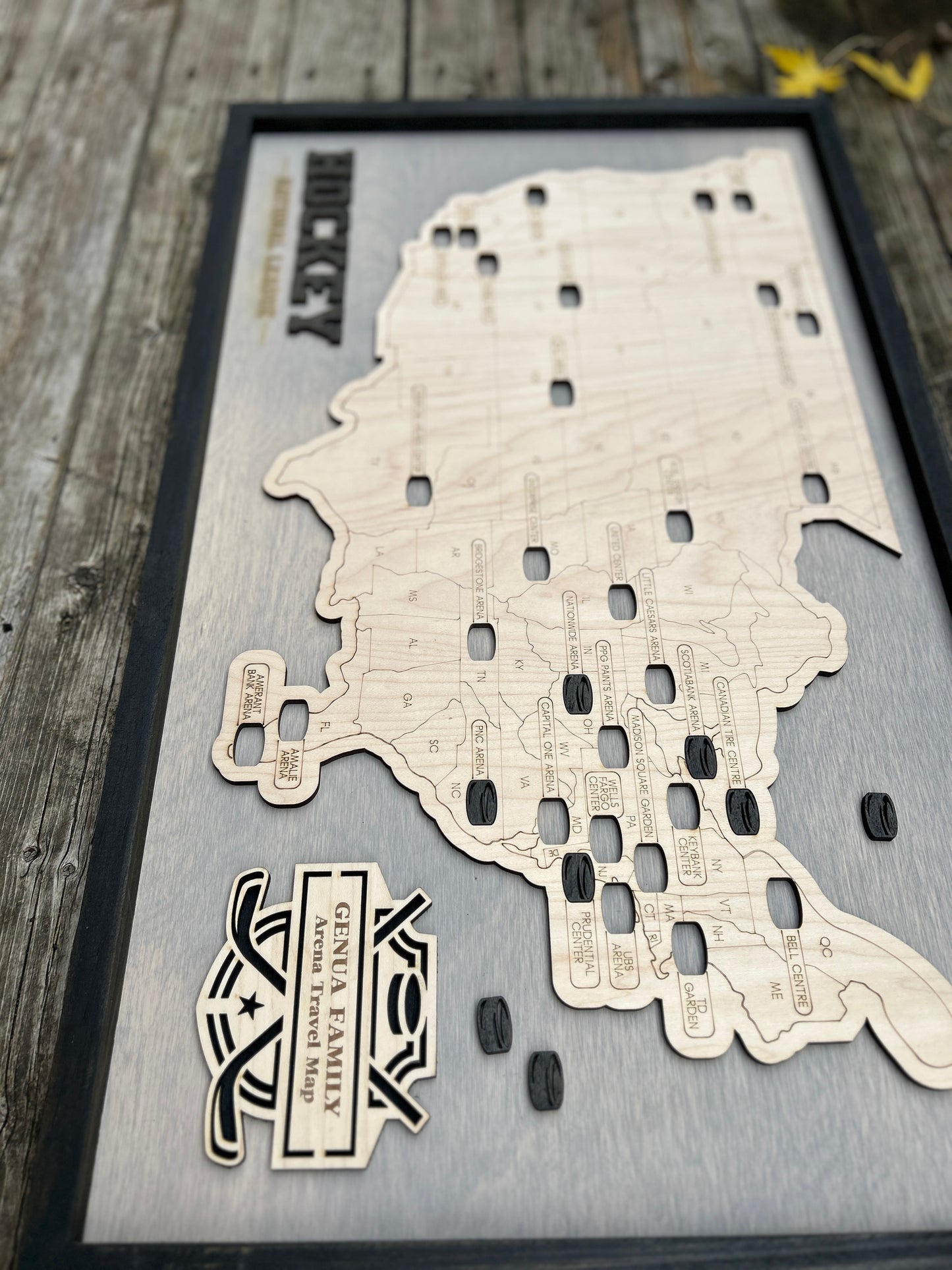 NHL Hockey Arena Map